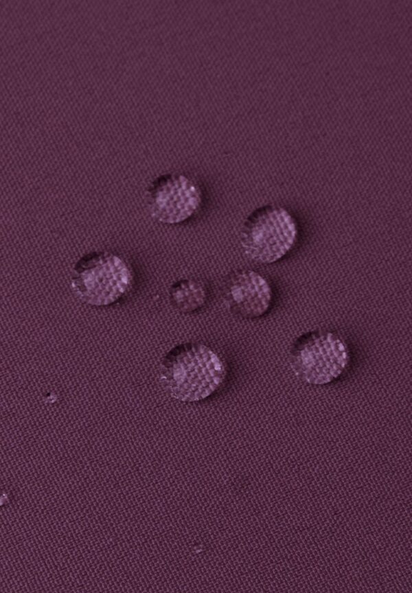 Reima Oikotie softshell püksid 'Deep purple'