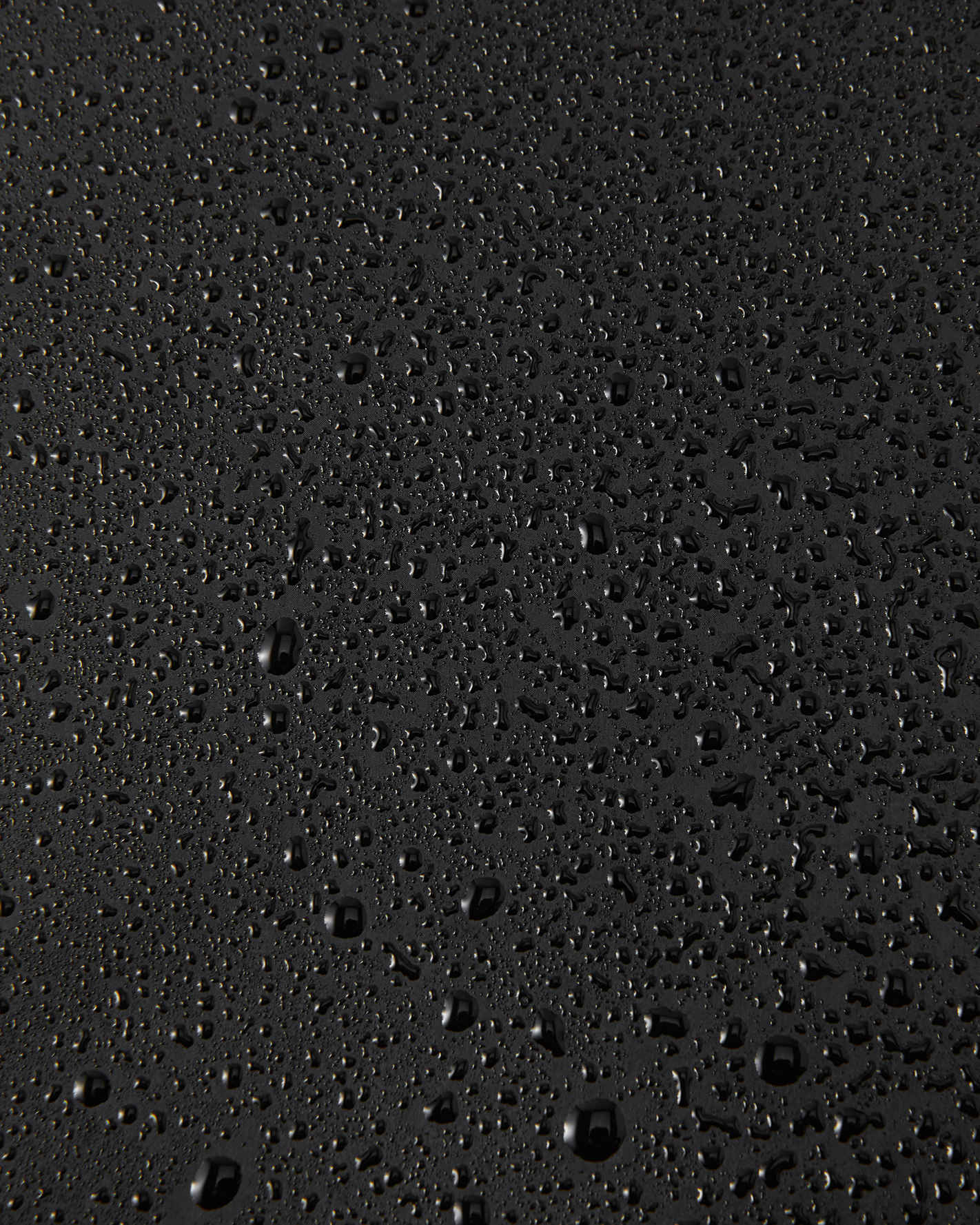 Reima Puro voodriga vihmakindad 'Black'